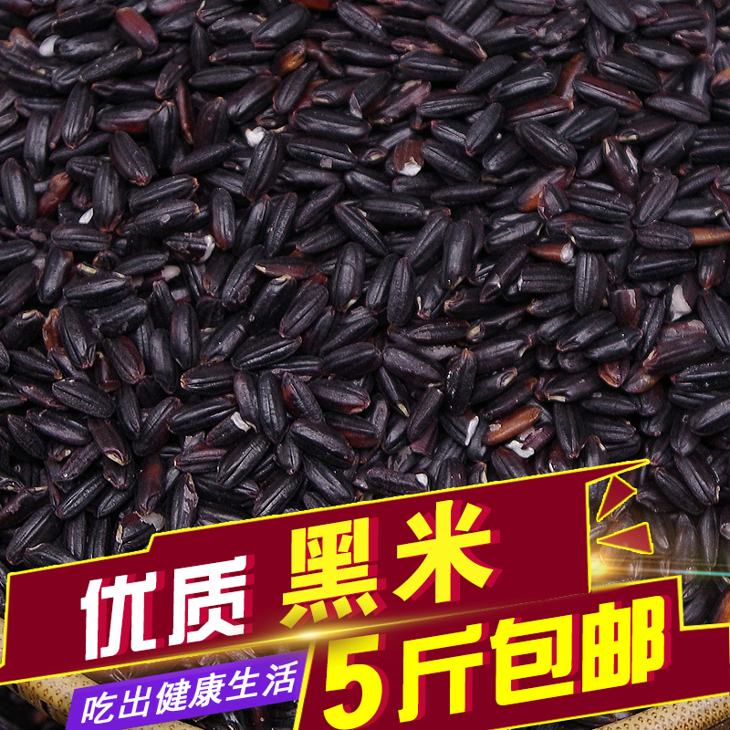 优质新东北黑米装新黑香米农家自产500g五谷杂粮