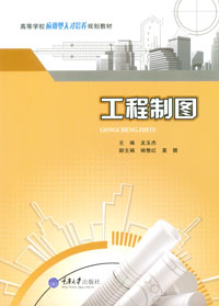 正版 工程制图 龙玉杰著 重庆大学出版社  9787562499114