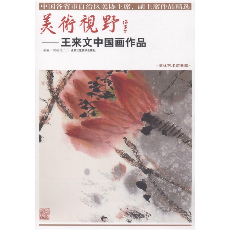 美术视野 贾德江 主编 著作 美术作品 艺术 北京工艺美术出版社 图书