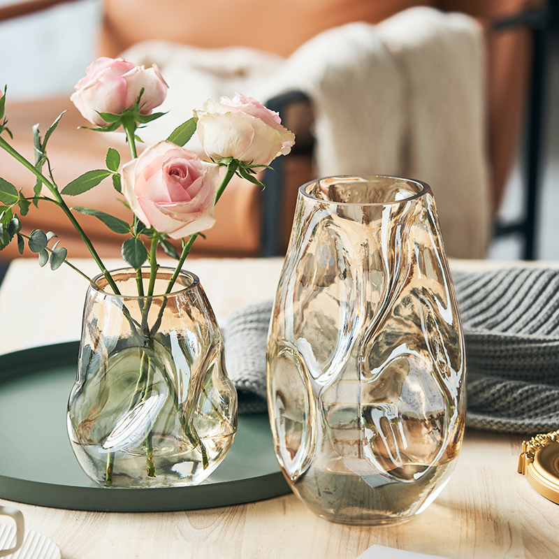 高级感不规则花瓶玻璃透明水培插花玫瑰百合客厅餐桌艺术摆件网红