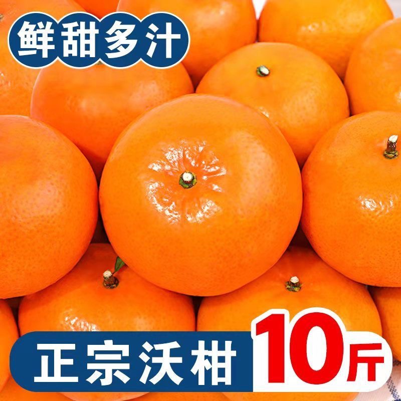 四川沃柑自家种植新鲜当季孕妇水果橘子现摘现发桔子带箱10斤包邮