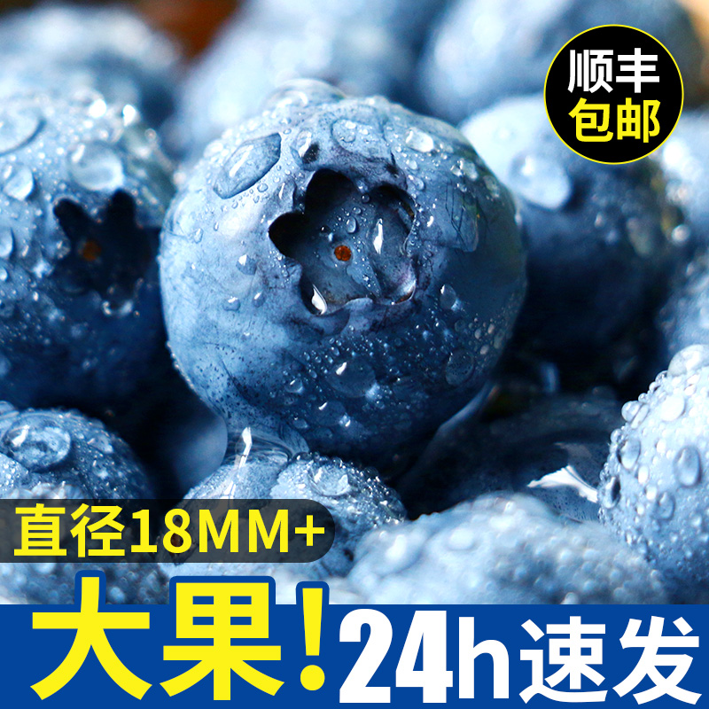 新鲜蓝莓鲜果500g大果 纯国产孕妇宝宝水果天然丹东篮梅蓝梅4盒