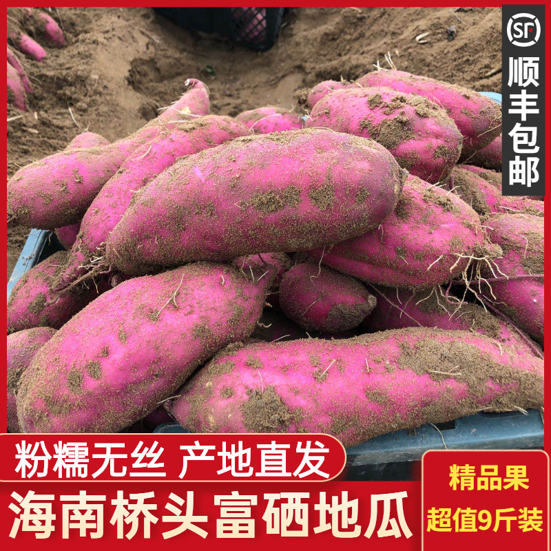 【顺丰包邮】海南澄迈桥头富硒地瓜沙地板栗红薯农家自种蔬菜番薯