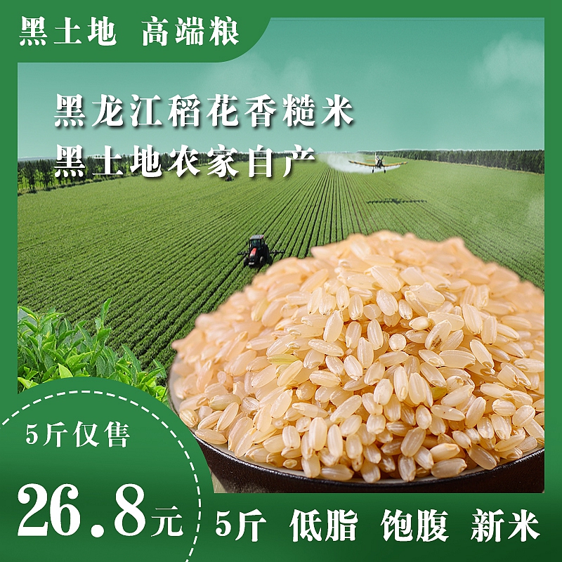 东北黑龙江糙米新米5斤北大荒低脂胚芽米粗粮五谷杂粮饭