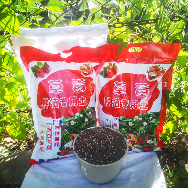 子浪草莓种植专用土草莓土阳台草莓盆栽种植营养土泥炭土种花土壤