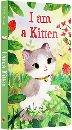 现货【英文原版】绘本 I am a Kitten我是一只小猫儿童 英语启蒙早教图书经典睡前故事童书 亲子早教 斯凯瑞我是一只兔子同系列