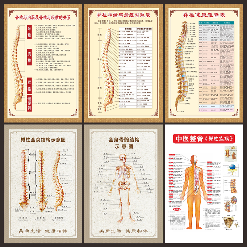 脊椎健康速查表人体脊柱相关疾病示意图中医养生医学健康海报3095