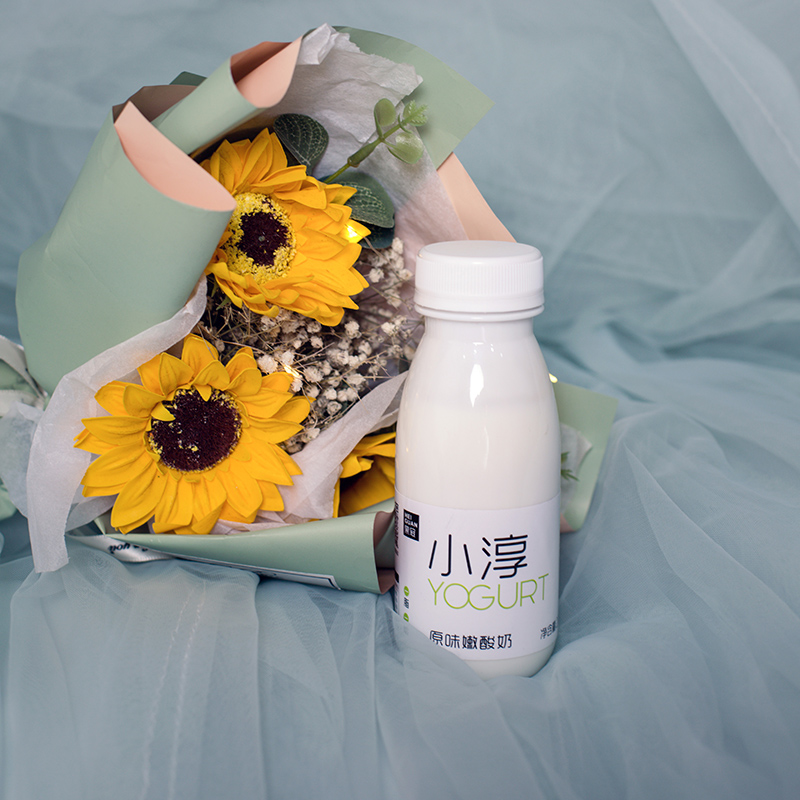 新品系列优格小淳酸奶200克12瓶酸奶一箱内蒙古大草原酸牛奶