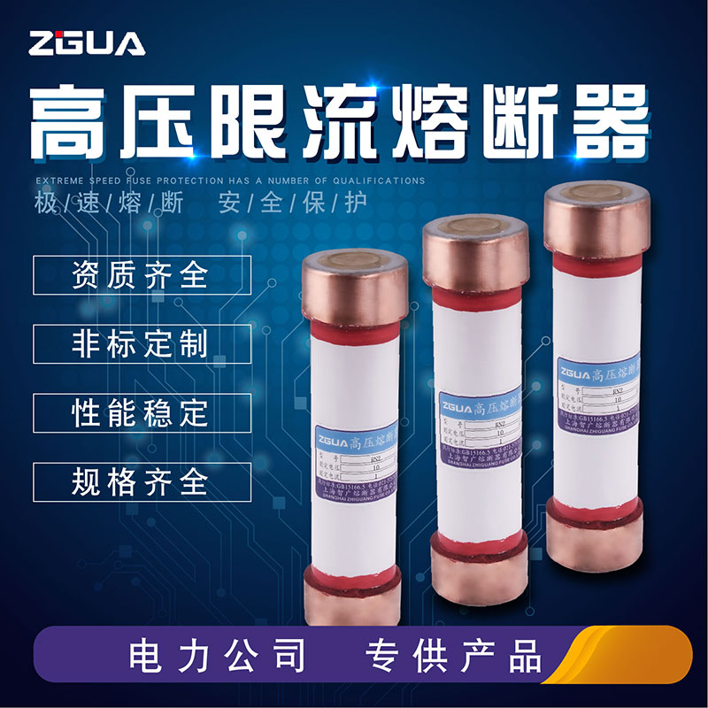 上海智广户内用高压限流熔断器熔断管保险管RN2-6KV10KV/0.5A-5A