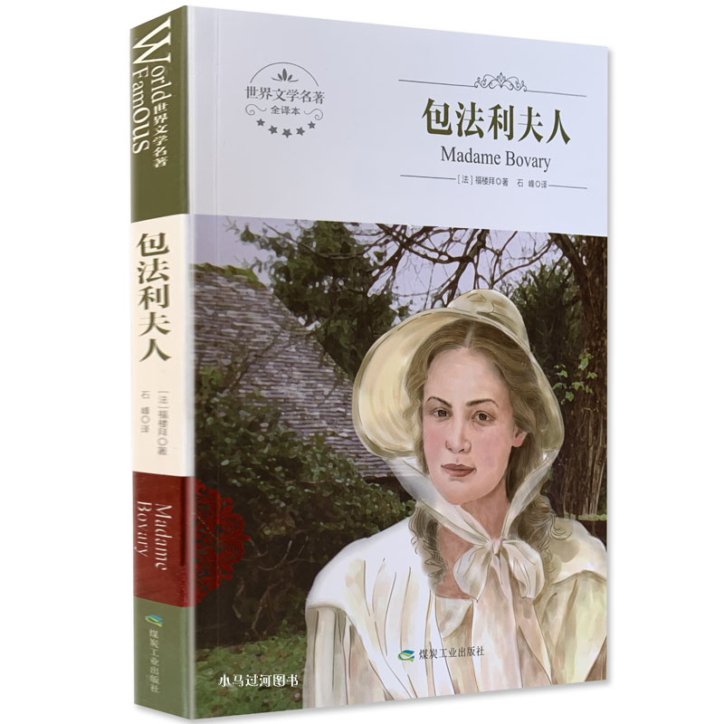 全新 包法利夫人 中文版 世界文学名著 全译本 煤炭工业出版社