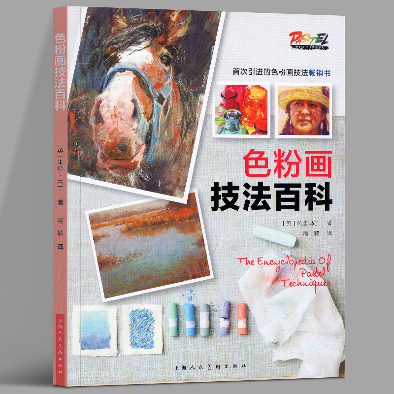 色粉画技法百科 色粉画技法系列 引进的色粉画技法畅销书 上海人民美术出版社