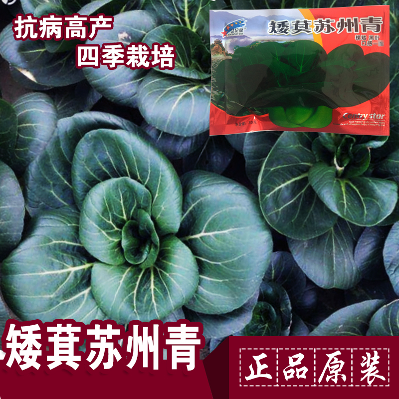 苏州青矮脚上海青菜籽种籽小青油菜籽四秋冬季南方蔬菜种子孑盆栽