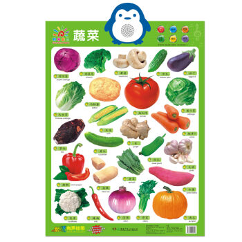 新华书店正版有声挂图 蔬菜 阳光宝贝品牌制作中心 湖南少年儿童出版社图书籍