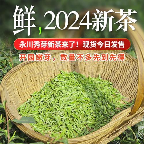 【针秀】永川秀芽2024新茶叶绿茶明前茶特级散茶正宗重庆永荣茶厂