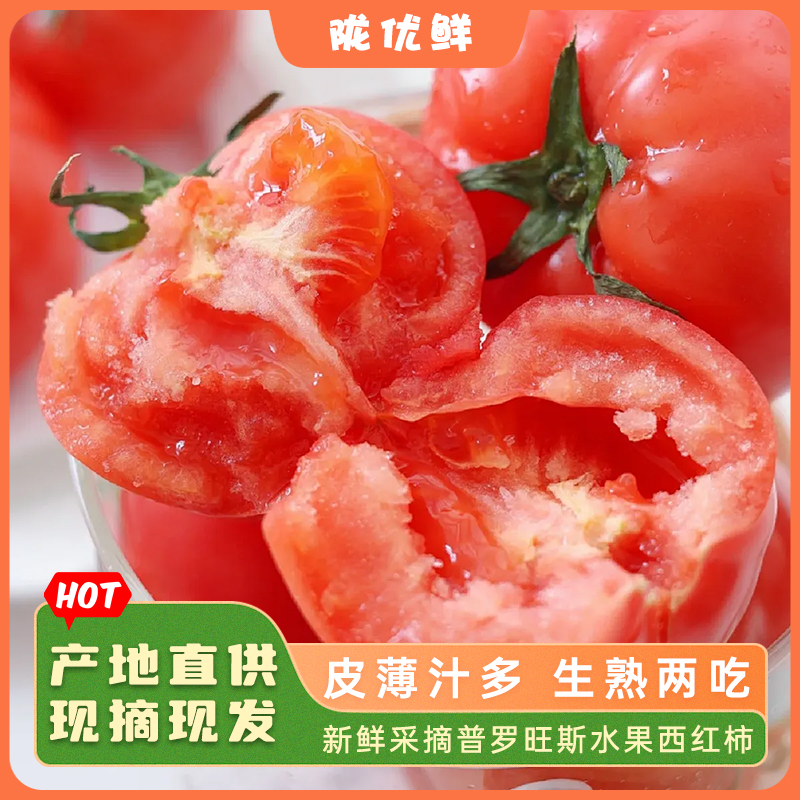 【陇优鲜】陕西正宗当季普罗旺斯水果沙瓤西红柿新鲜自然生吃番茄