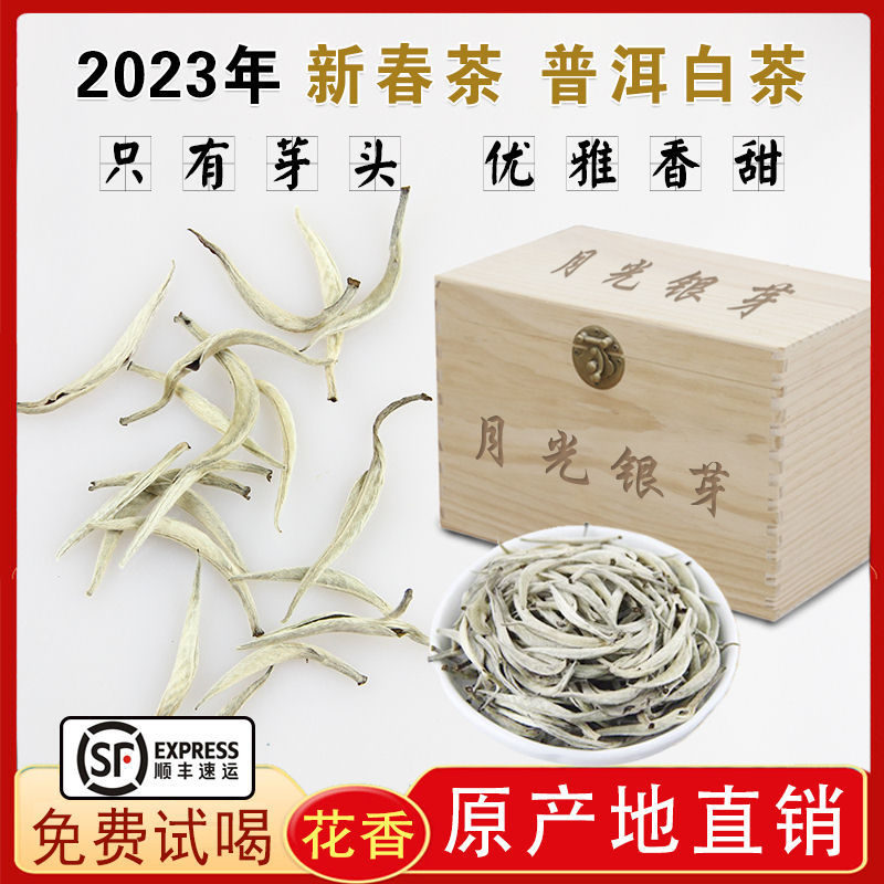 白毫银针2023年云南明前普洱新春茶银芽月光美人特级景谷单芽白茶