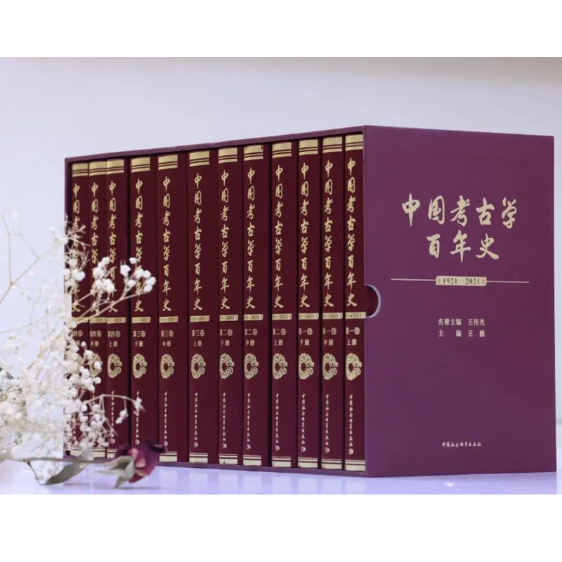现货正版 中国考古学百年史（1921-2021）共12册 王巍/主编 中国社会科学出版社H