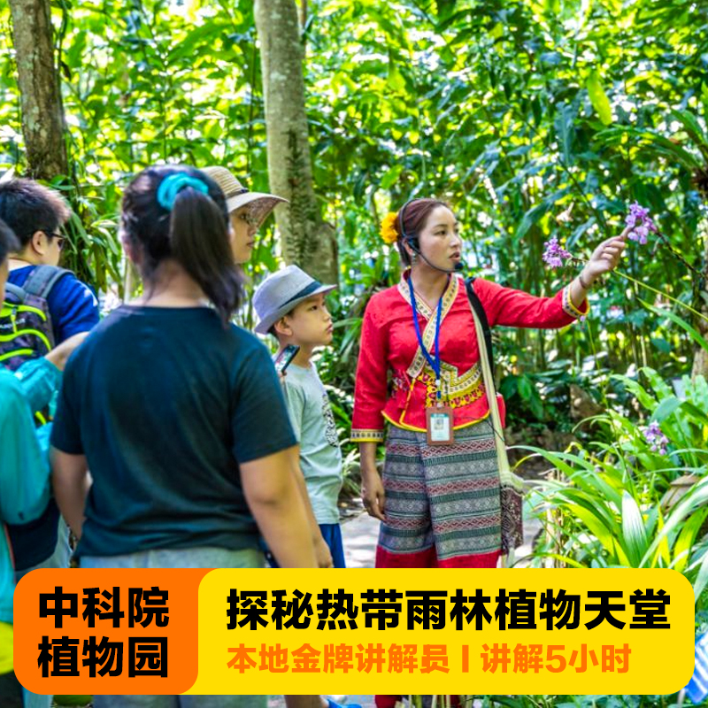 中国科学院西双版纳热带植物园景区纯玩一日游可选夜游大V导讲解