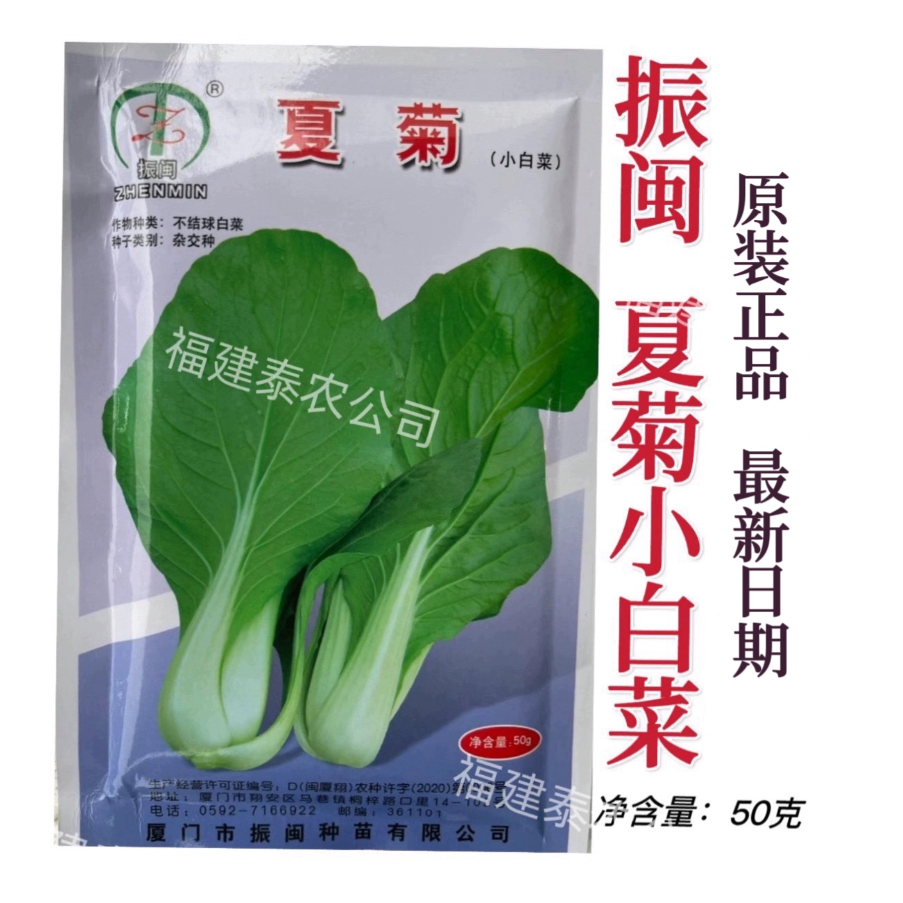 夏菊小白菜 耐热耐寒耐抽苔蔬菜种子抗病上海青蔬菜菜籽基地专用