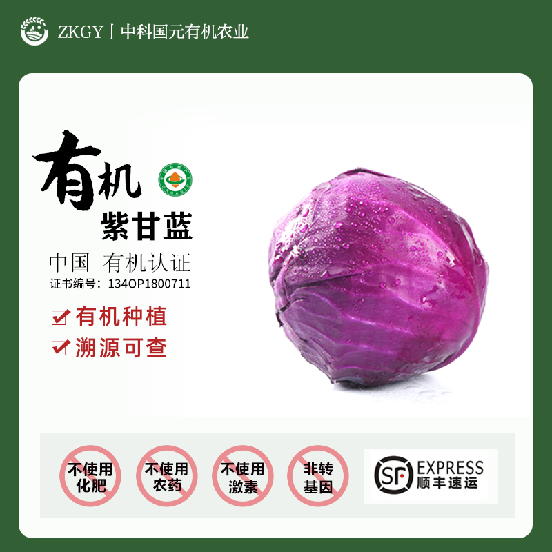 有机紫甘蓝®蔬菜沙拉菜新鲜紫包菜现采现发当季时令 2.4斤