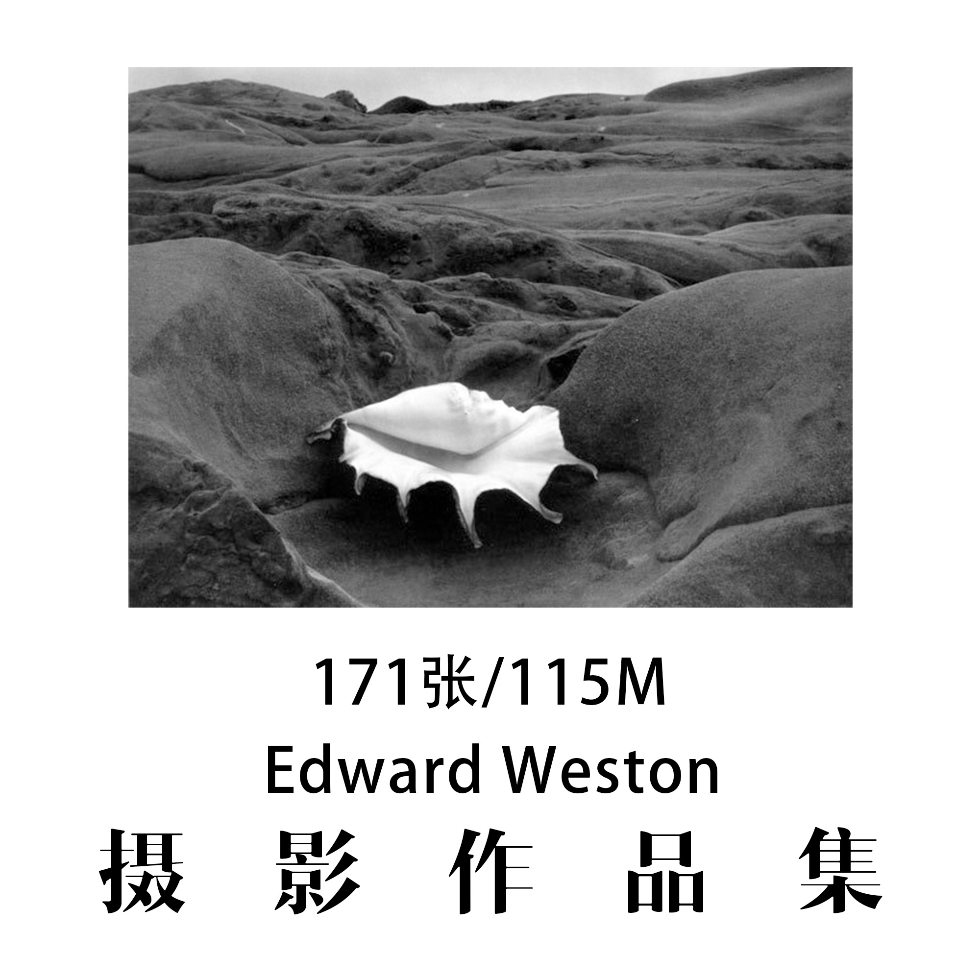 Edward Weston摄影大师摄影作品集参考素材审美提升资料