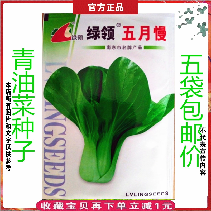 蔬菜种籽南京四五月慢油菜种子纯度好抽薹晚青梗菜耐寒上海青20g