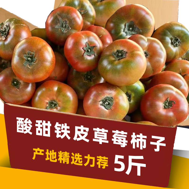 2024现摘草莓西红柿戴安娜番茄新鲜海阳绿腚农家东北铁皮柿子脆甜