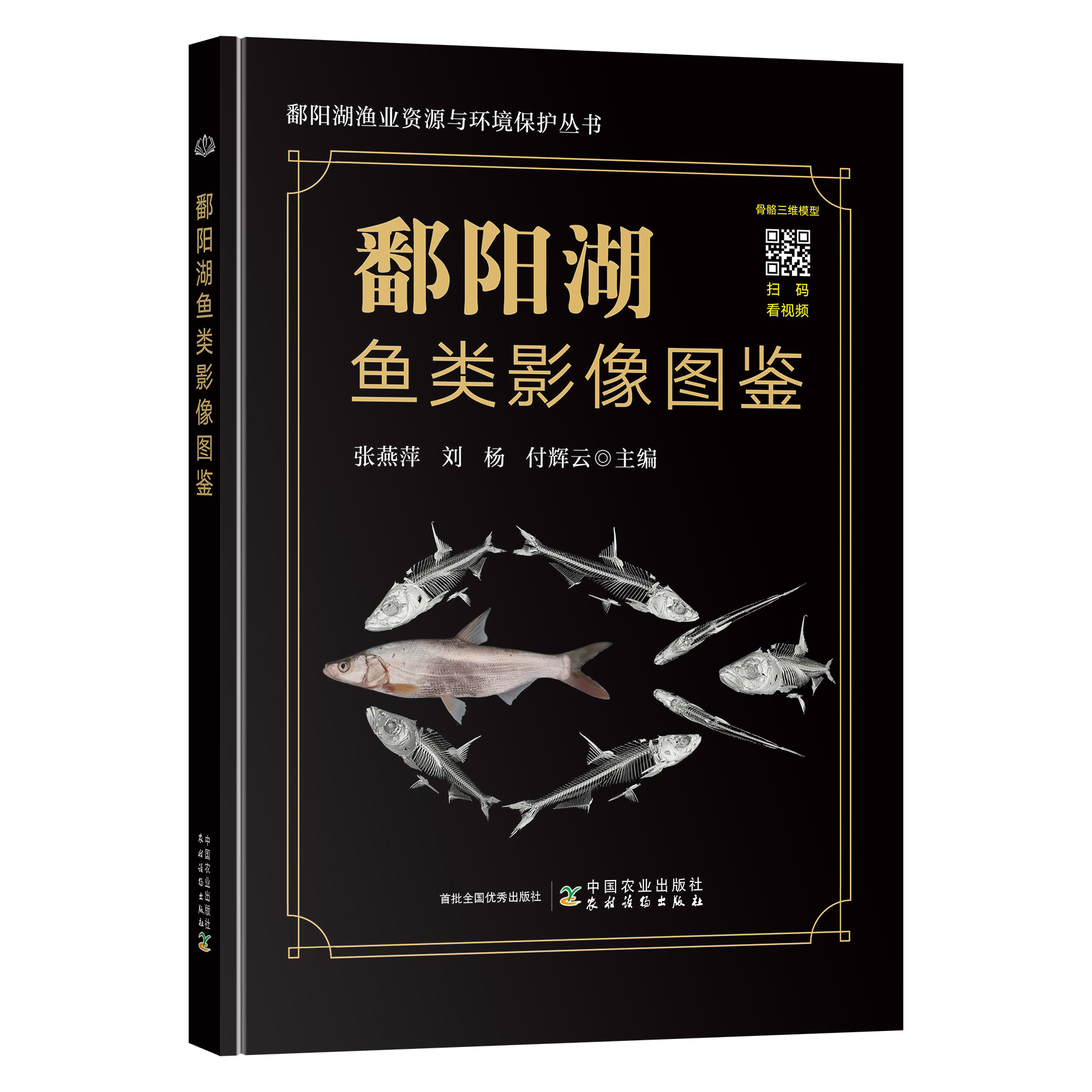 鄱阳湖鱼类影像图鉴