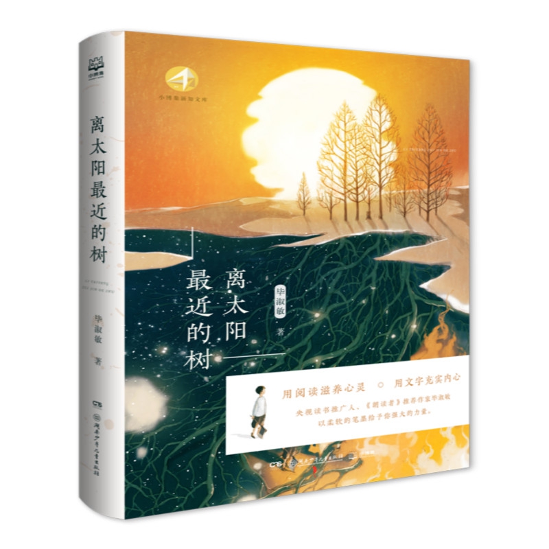 正版图书离太阳近的树(新）淑敏湖南少年儿童出版社有限责任公司9787556237852