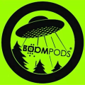 东莞Boompods无线蓝牙耳机