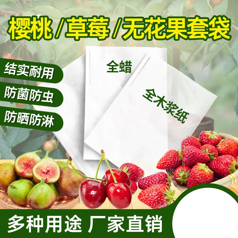 草莓套袋专用袋樱桃袋梨初期套袋专用套袋小果袋防水防虫
