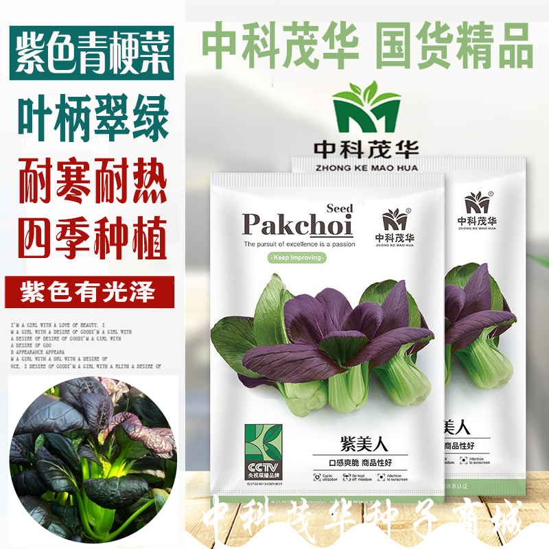 中科茂华蔬菜种子 紫美人油菜种子 苏州青鸡毛菜家庭园艺阳台盆栽