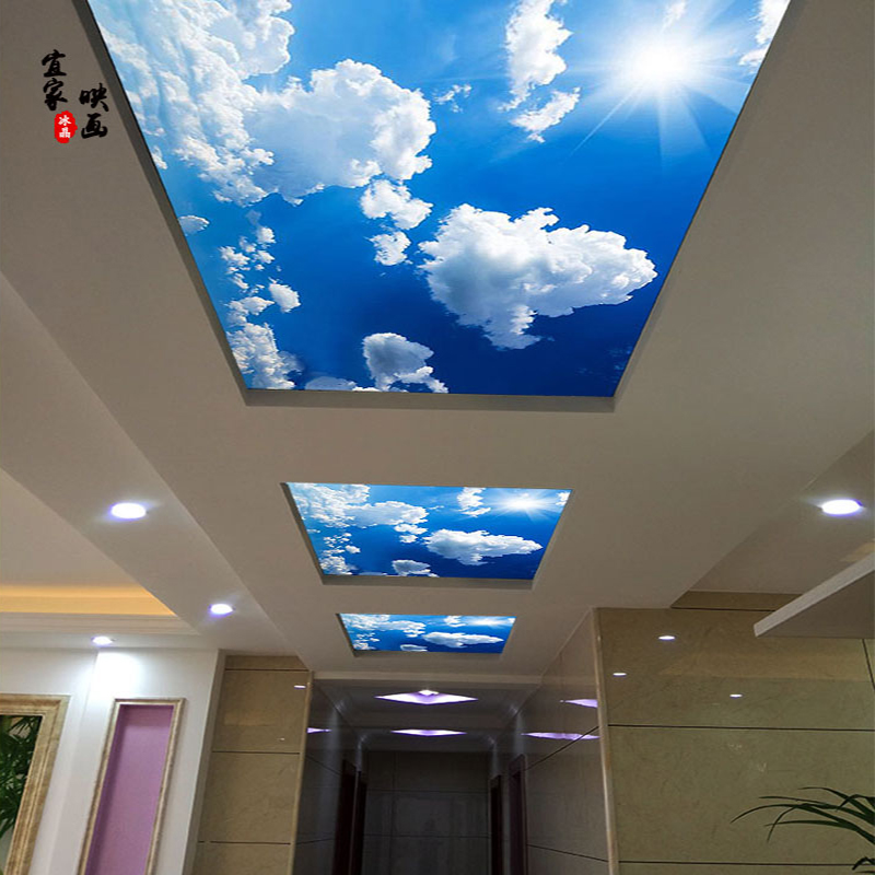 亚克力板3d立体蓝天白云艺术玻璃吊顶装饰过道玄关电梯透光吊顶灯