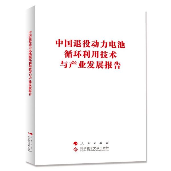 BK 中国退役动力电池循环利用技术与产业发展报告 化学工业 科学技术文献出版社