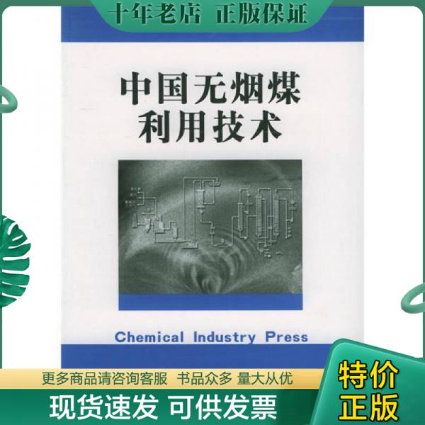 正版包邮中国无烟煤利用技术 9787502567927 陈雪枫编著 化学工业出版社