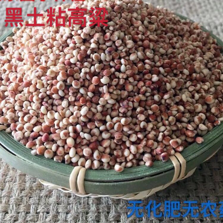 东北农家自产粘高粱米 白高粱米 红高粱米黏糯高粱米 900g*2包邮