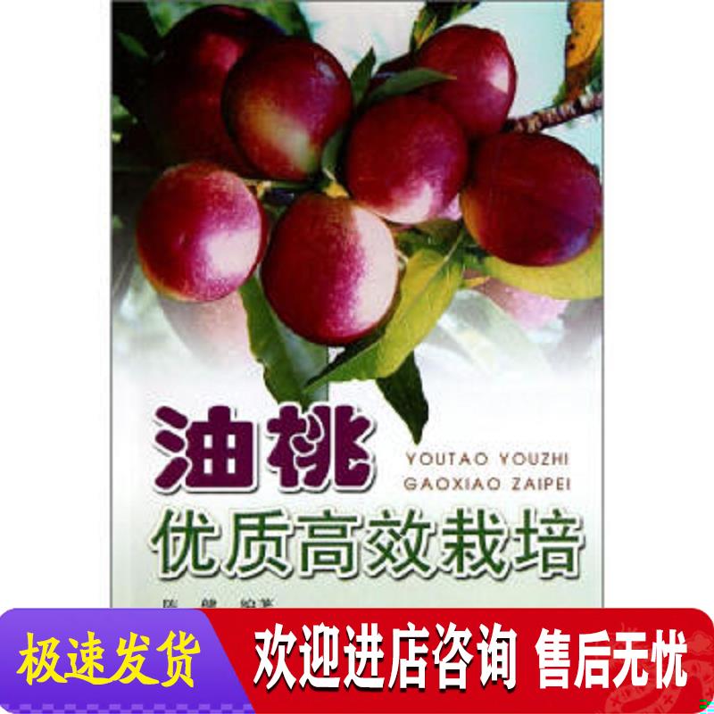 油桃优质高效栽培 陈健 著 金盾出版社9787508231389