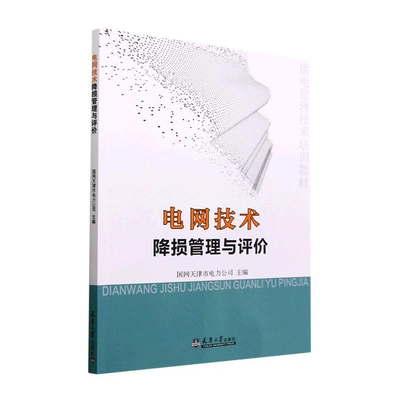 正版电网技术降损管理与评价国网天津市电力公司书店工业技术书籍 畅想畅销书