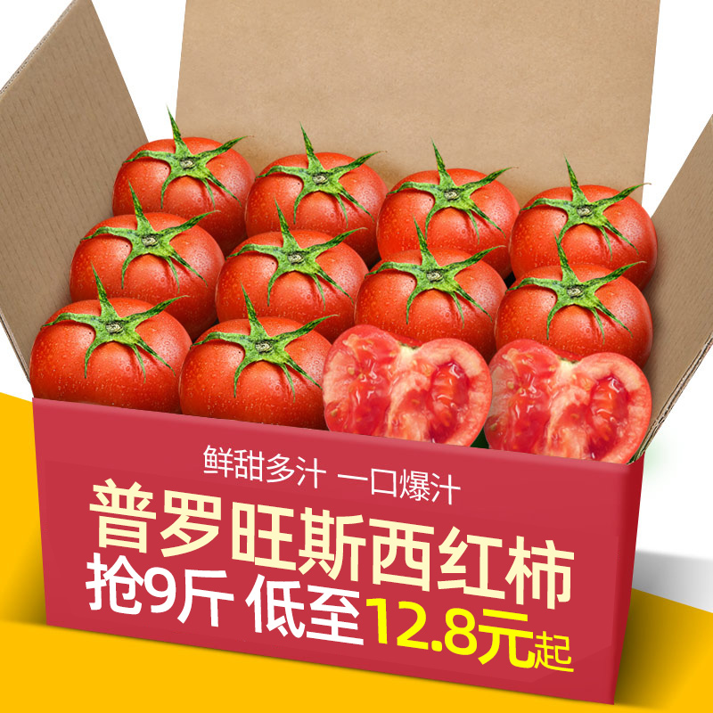 山东自然熟普罗旺斯生吃西红柿5-9斤新鲜沙瓤大番茄水果粉柿子