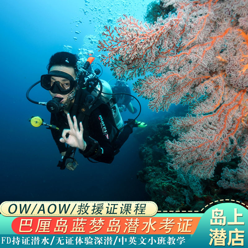 印尼巴厘岛蓝梦岛潜水考证OW/AOW证/FD持证潜水/佩妮达岛深潜考证