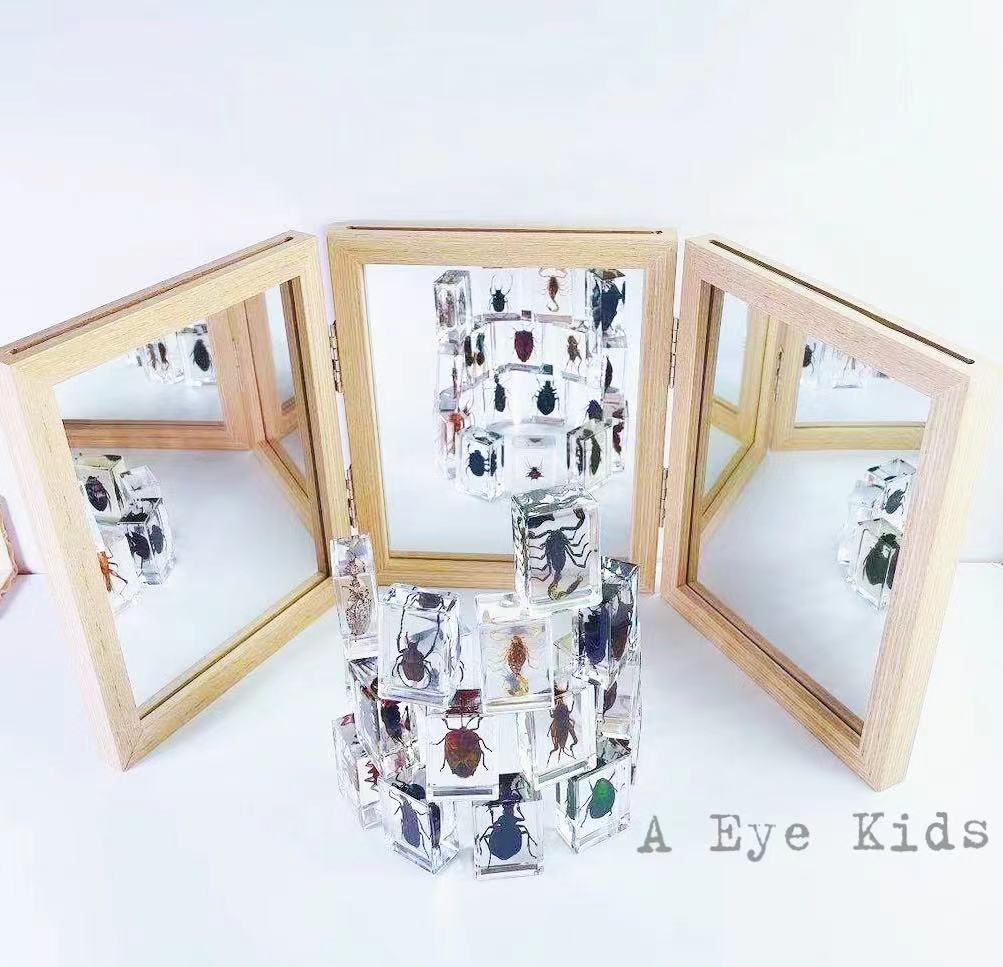 瑞吉欧三联镜幼儿园教室科学区角环创教具材料 a eye kids