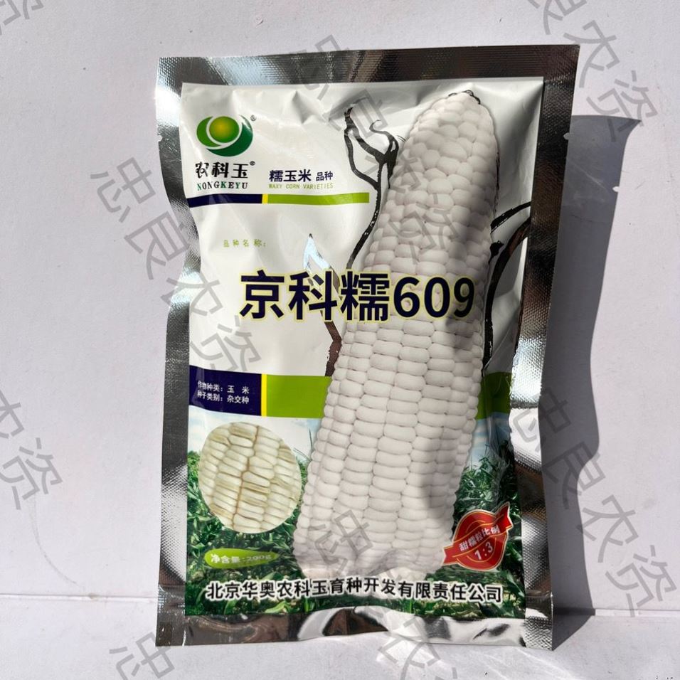 京科糯609玉米种子农科玉糯玉米北京农科院 国家审定品种高产抗病