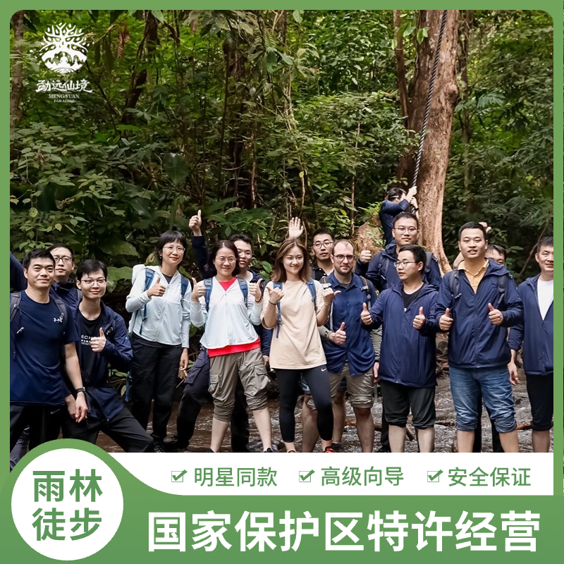 [西双版纳热带雨林国家公园勐远仙境-雨林穿越+雨林大餐+溶洞秘境]雨林徒步穿越中国的亚马逊