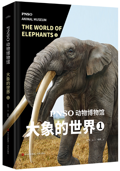 【正版包邮】PNSO动物博物馆：大象的世界1  作者:赵闯（绘） 杨杨（文） 著  出版社:青岛出版社