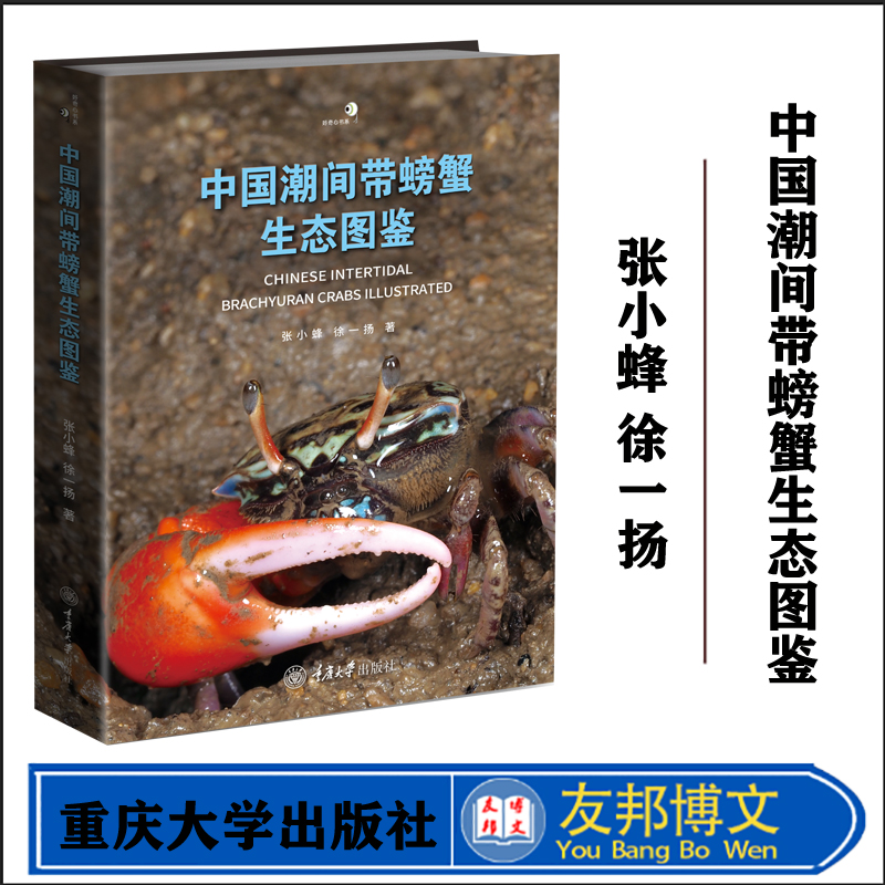 正版现货  中国潮间带蟹类图鉴  张小蜂、徐一扬  著   9787568937719  重庆大学出版社