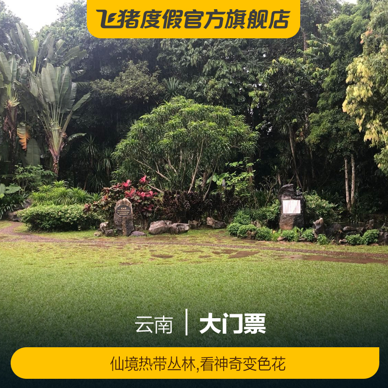[中国科学院西双版纳热带植物园-大门票]大门票