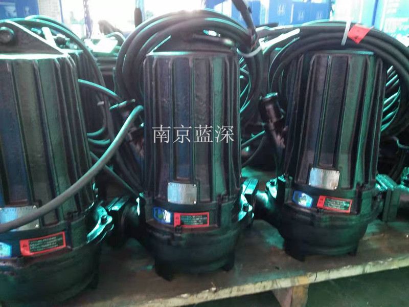 污水泵品质保证南京蓝深潜水排污泵WQ40-12-3KW口径50