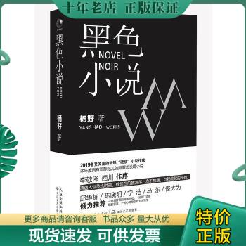 正版包邮黑色小说 9787570208784 杨好 长江文艺出版社