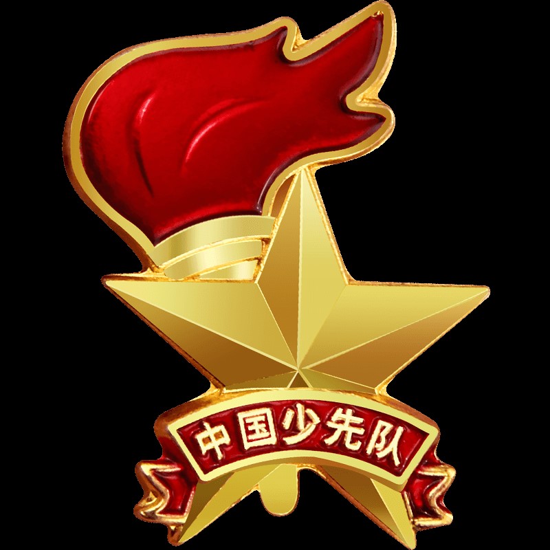 中国少先队员队徽小学生标准型胸章徽章强力新标准款少年圆形红领