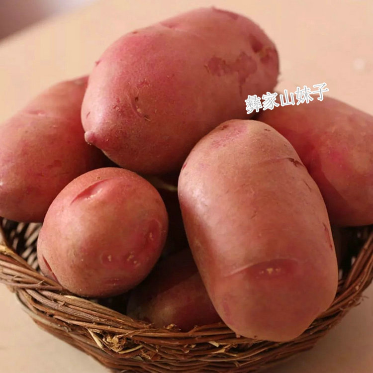 云南高原红皮土豆新鲜洋芋黄心马铃薯农家自种生态农产品现挖现发
